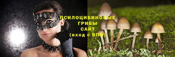 a pvp Балабаново