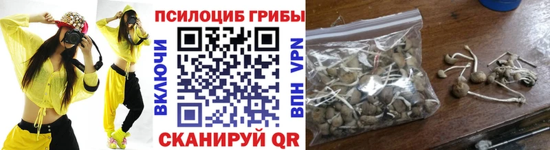 купить наркотик  Черноголовка  Галлюциногенные грибы GOLDEN TEACHER 