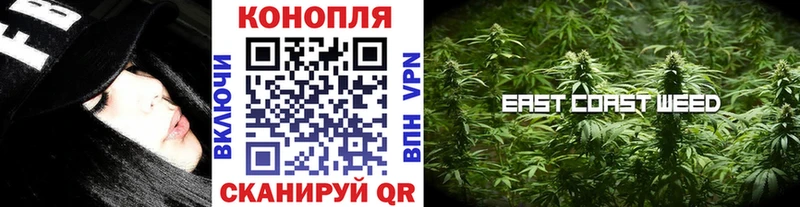 МАРИХУАНА сатива  Черноголовка 